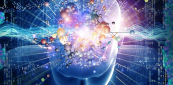 Screen-Shot-2021-07-29-at-11.41.20